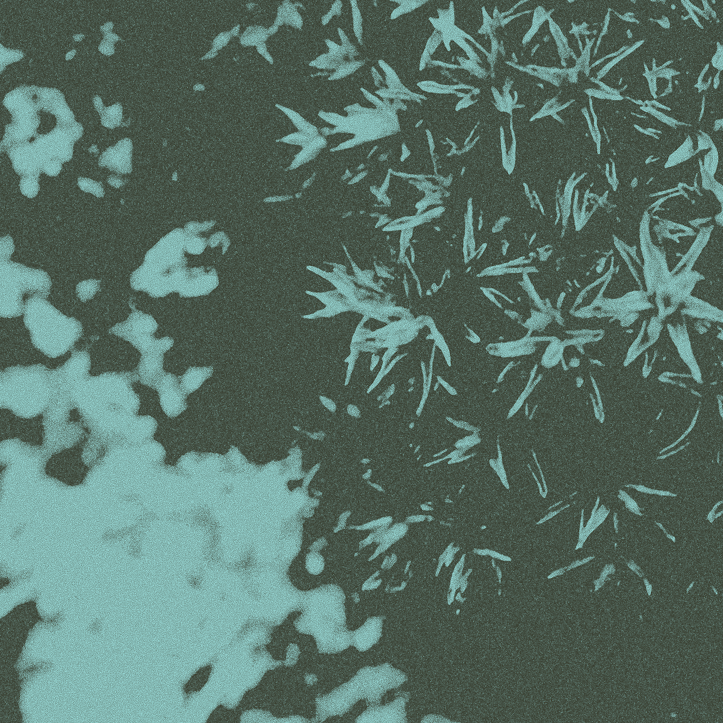 Single: Fleeting Colors – Autumn