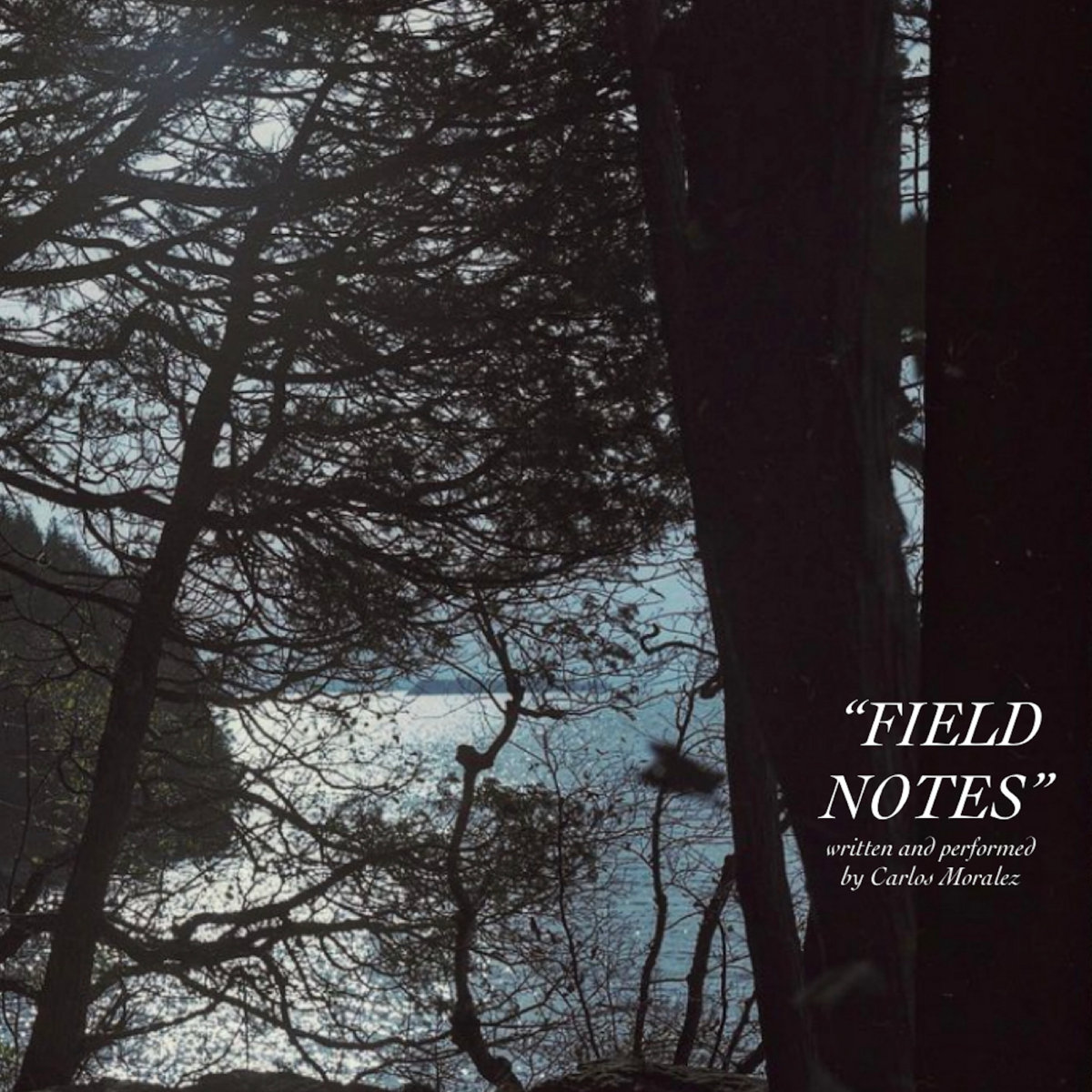 Album: Carlos Moralez – Field Notes