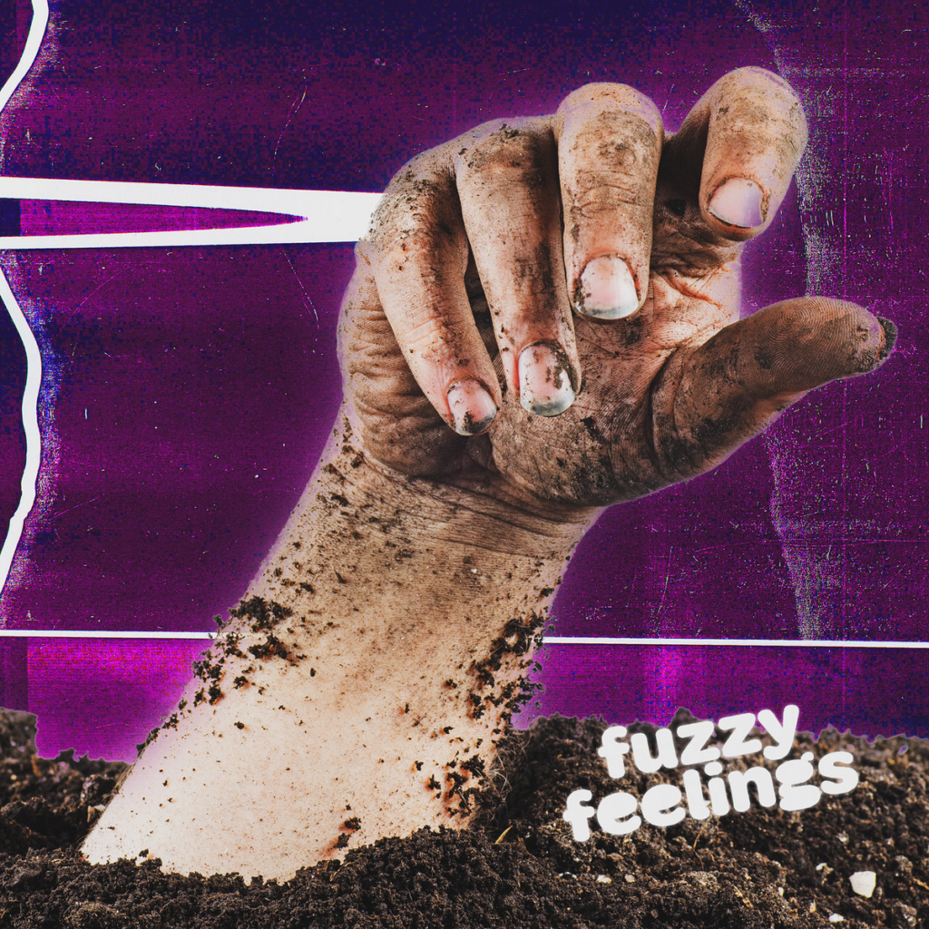 fuzzy feelings pledge of allegiance single cover