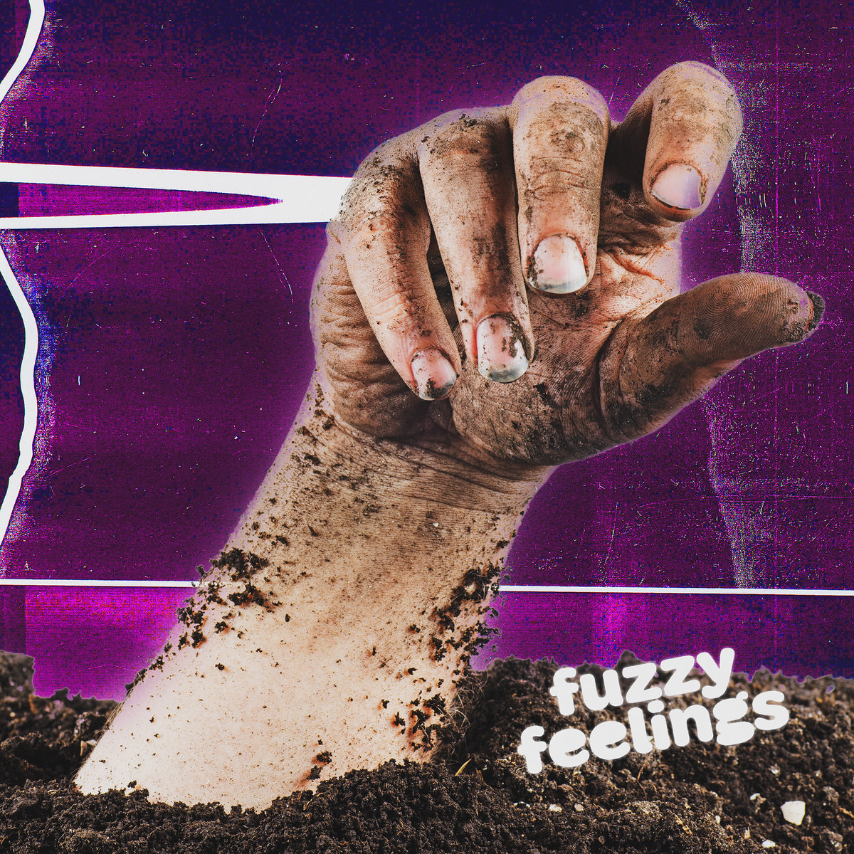 Single: Fuzzy Feelings – Pledge of Allegiance