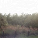Single: airhockey – nice day