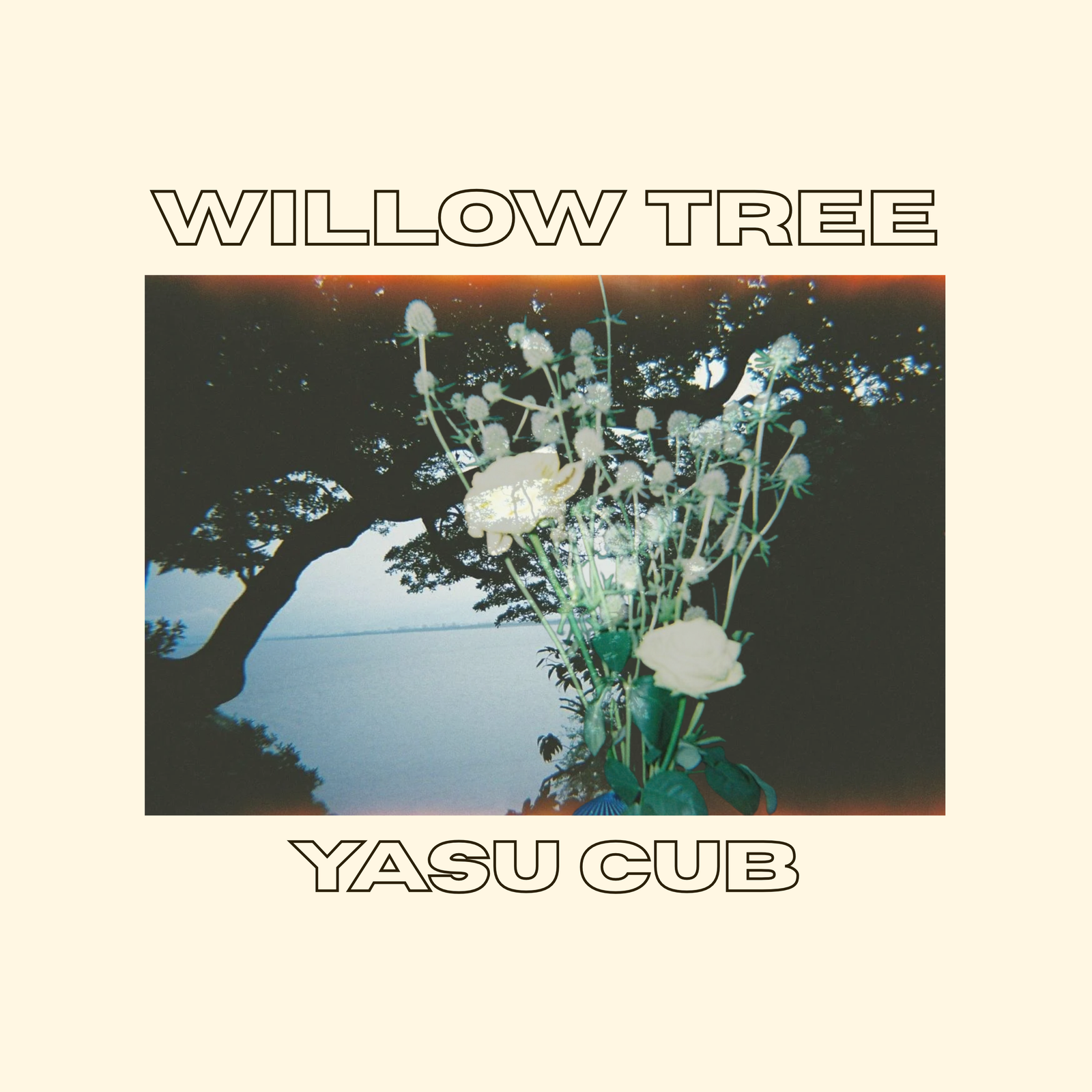 Single: Yasu Cub – willow tree