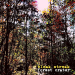Single: Bleak Streak – Forest Crater