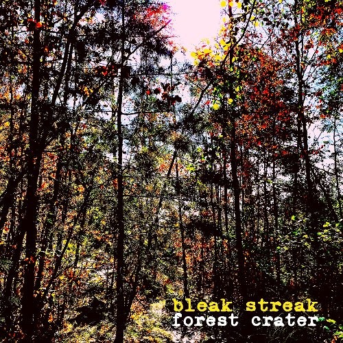 Bleak Streak - Forest Crater single cover