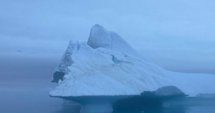 tsubai ilulissat album cover