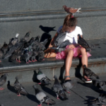Single: Allsmiles – Pigeon